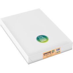 Clairefontaine Evercolor papier couleur recyclé, A3, 80g, 500 feuilles, saumon