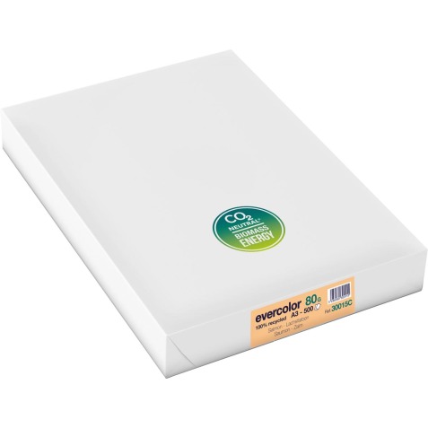 Clairefontaine Evercolor papier couleur recyclé, A3, 80g, 500 feuilles, saumon