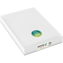 Clairefontaine Evercolor papier couleur recyclé, A3, 80g, 500 feuilles, ivoire