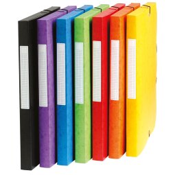 Pergamy boîte de classement, dos de 2,5 cm, couleurs assorties