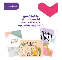 Carte de voeux Hallmark Business Box divers (NL) recharge 12 pièces