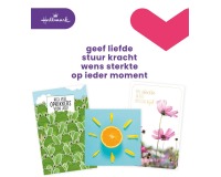 Carte de voeux Hallmark recharge 'Beterschap/Sterkte' 12 cartes