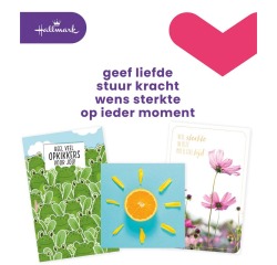 Carte de voeux Hallmark recharge 'Beterschap/Sterkte' 12 cartes