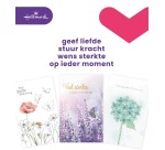 Carte de voeux Hallmark Business Box 'Condoléance' recharge 10 pièces