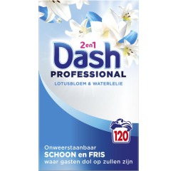 Dash Professional 2 en 1 Formula Fleurs de Lotus & Lily lessive en poudre, boîte de 6,6 kg, 120 doses