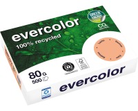 Clairefontaine Evercolor, gekleurd gerecycleerd papier, A4, 80 g, 500 vel, zalm
