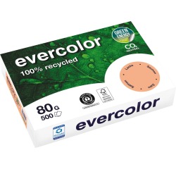 Clairefontaine Evercolor, papier couleur recyclé, A4, 80g, 500 feuilles, saumon