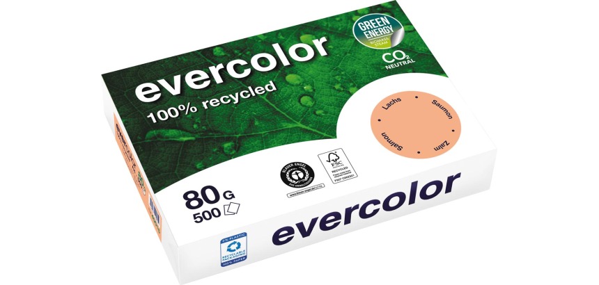 Clairefontaine Evercolor, recycled colored paper, A4, 80g, 500 sheets, salmon