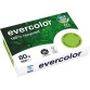 Clairefontaine Evercolor, gekleurd gerecycleerd papier, A4, 80 g, 500 vel, appelgroen