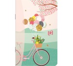 Oxford Horizons carnet de notes, ft 9 x 14 cm, 60 pages, ligné, couleurs assorties