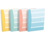 Oxford Iconics cahier spiralé, ft B5, 120 pages, quadrillé 5 mm, couleurs assorties