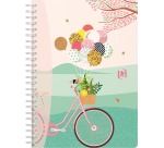 Oxford Horizons spiraalschrift, ft A5, 120 bladzijden, geruit 5 mm, geassorteerde kleuren