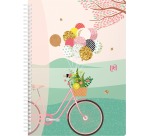 Oxford Horizons spiraalschrift, ft B5, 120 bladzijden, geruit 5 mm, geassorteerde kleuren
