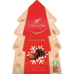 Côte d'or Selection kerstboom chocolat, boîte de 130 g