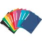 Oxford Top File+ elastomap, voor ft A4, geassorteerde kleuren