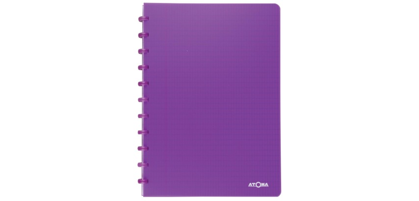 Atoma Trendy notebook, A4 size, 144 pages, commercial grid, transparent purple