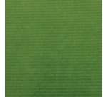 Canson kraftpapier ft 68 x 300 cm, groen