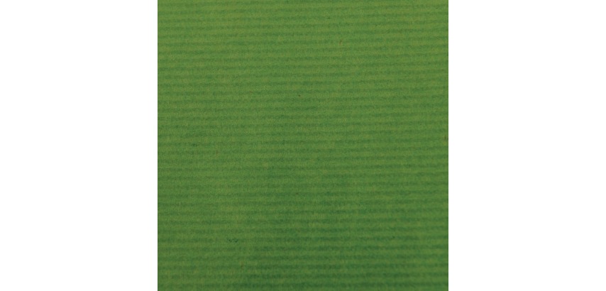 Canson kraftpapier ft 68 x 300 cm, groen