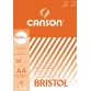 Canson papier à dessin Bristol, 224 g, ft 21 x 29,7 cm, A4, bloc de 20 feuilles