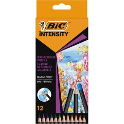 Bic crayon aquarelle Intensity, étui de 12 pièces