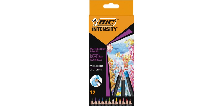 Bic crayon aquarelle Intensity, étui de 12 pièces