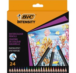 Bic crayon aquarelle Intensity, étui de 24 pièces