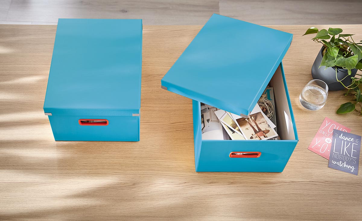Boîte de rangement carton Leitz CLick & Store Wow H 16 X L 21,7 x P