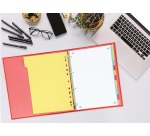 OXFORD Register, A4-Format, aus Karton, unbedruckt, 11 Löcher, sortierte Farben, 12 Registerkarten