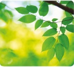 Fellowes recycled mouse pad, sheets