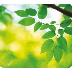 Fellowes tapis souris Earth Series, feuilles