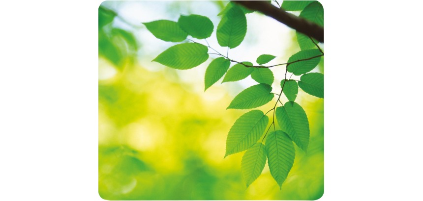 Fellowes recycled mouse pad, sheets