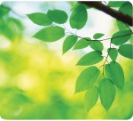 Fellowes recycled mouse pad, sheets