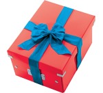 Leitz WOW Click & Store Storage Box, Size M, Red