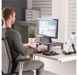 Support standard écran LCD/TFT standard Fellowes 9169301 gris graphite
