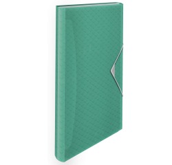 EN_Carpeta esselte clasificador fuelle colour ice polipropileno din a4 color verde 6 departamentos cierre