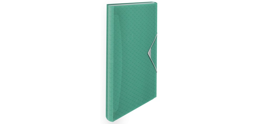 Esselte Colour'Breeze Sortierer, 6 Fächer, grün
