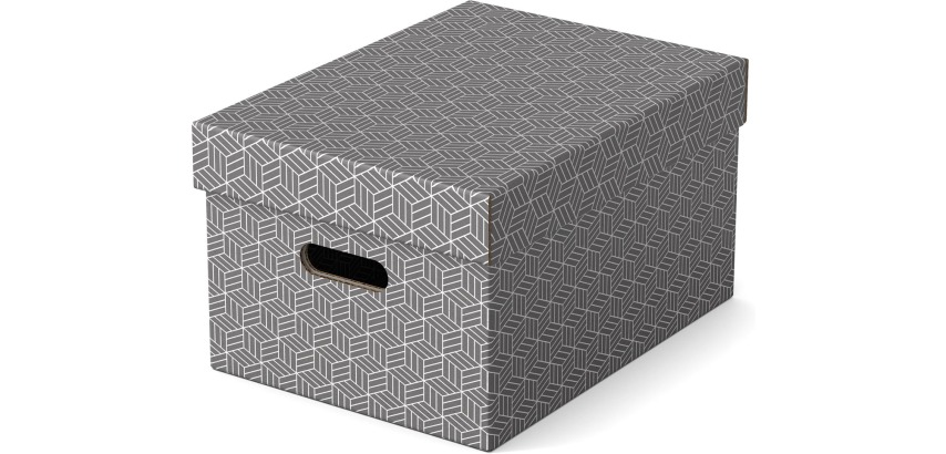 Boîte de rangement Esselte Home Medium 265x205x365mm gris 3 pièces