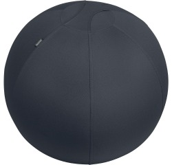 Leitz Ergo ballon d'assise active, système anti-roulement, 65 cm, gris