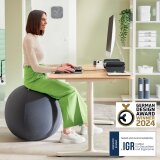 Leitz Ergo ballon d'assise active, système anti-roulement, 75 cm, gris