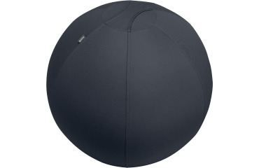 Leitz Ergo ballon d'assise active, système anti-roulement, 75 cm, gris