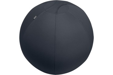 Leitz Ergo ballon d'assise active, système anti-roulement, 75 cm, gris