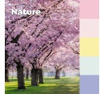 Post-it recycled notes Nature, 100 feuilles, ft76 x 76 mm, paquet de 6 blocs, couleurs assorties