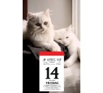 Plaque pour le dos avec photo pour le 'Druivelaar' et le 'Sablier', 2027