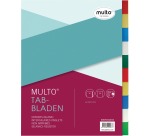 Multo A4 Divider 23 Holes 10 Tabs Assorted PP