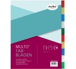 Multo A4 Divider 23 Holes 10 Tabs Assorted PP