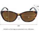 Silac Sol Tom Brown sunglasses, brown
