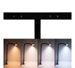 MAUL luminaire de bureau Gate, LED, dimable, avec pince de table, noir