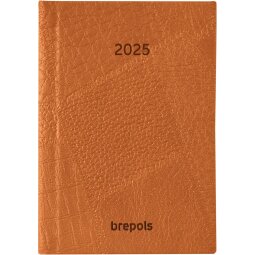 Brepols Delta Lucca, geassorteerde kleuren, 2025