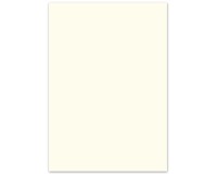 Creakit fotokarton, 50 x 70 cm, 300 g, pak van 25 vel, parelwit