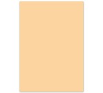 Creakit fotokarton, 50 x 70 cm, 300 g, pak van 25 vel, chamois